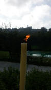 torce a vento asticera