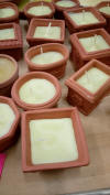 Coccio pip citronella in varie forme