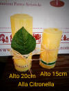 cilindro alla citronella da casa o esterno asticera